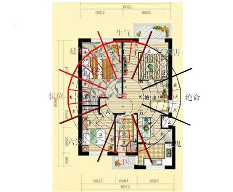 离宅|风水学入门：阳宅风水学——住宅布局